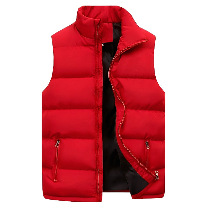 Darryl - Gilet casual imbottito con cerniera per uomini